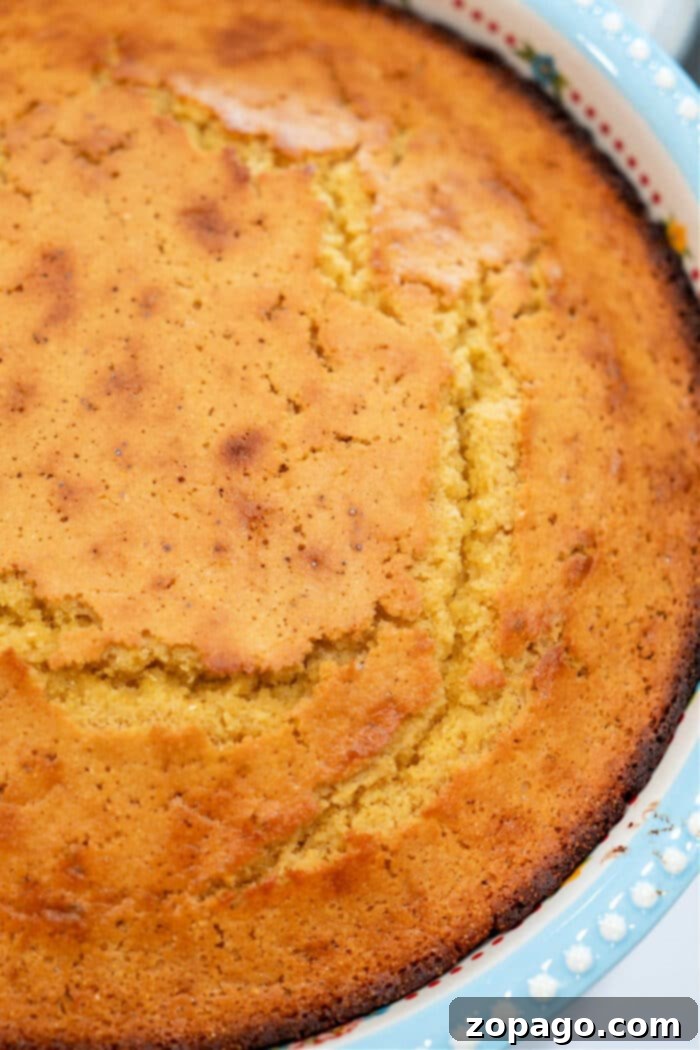Southern Cornbread Comfort 2 Buttermilk Cornbread