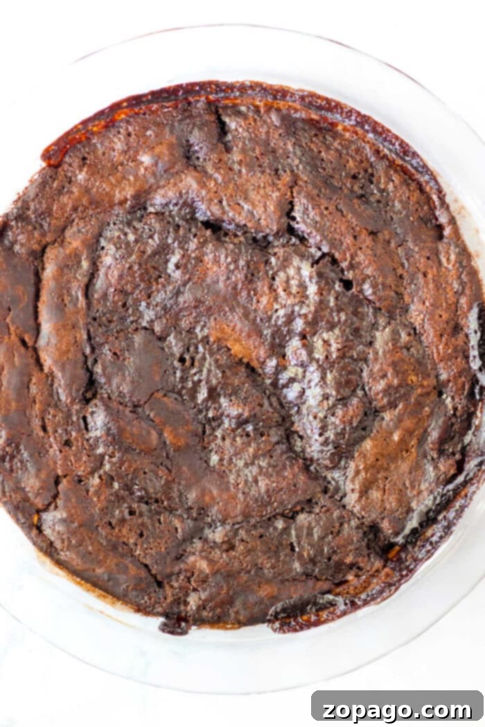 Hot Water Cake: Your Secret to Moist Perfection 5 Aerial view of a round, baked chocolate cake in a clear dish on a white surface.