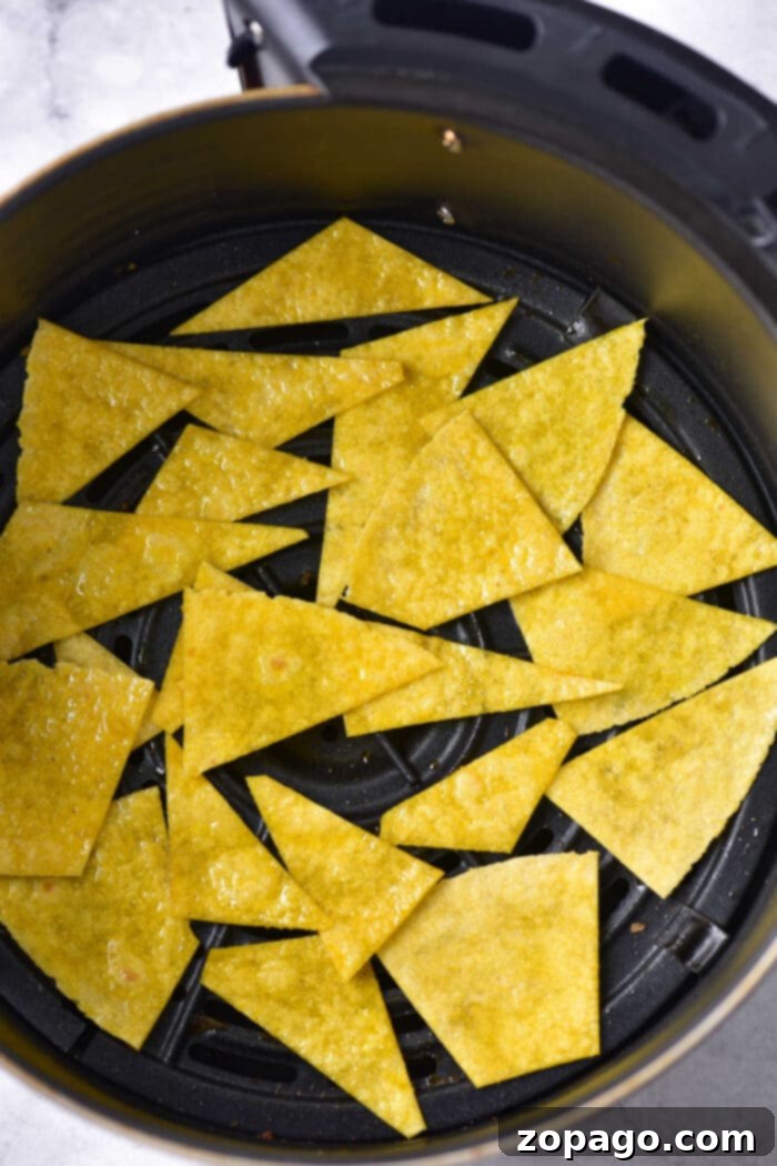 Crispy Air Fryer Tortilla Chips 5 How to make tortilla chips from flour tortillas