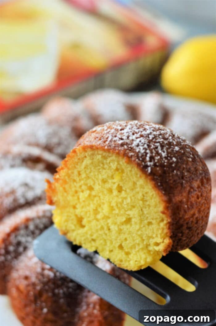 Easy Duncan Hines Lemon Bundt Cake Recipe 2 Duncan Hines Lemon Bundt Cake, Moist and Tender