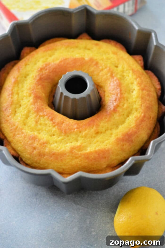 Easy Duncan Hines Lemon Bundt Cake Recipe 5 Cake Mix Lemon Bundt Cake - Easy and Delicious