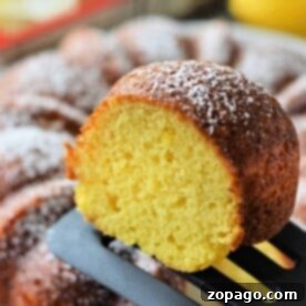 Easy Duncan Hines Lemon Bundt Cake Recipe 7 betty crocker Lemon Bundt Cake