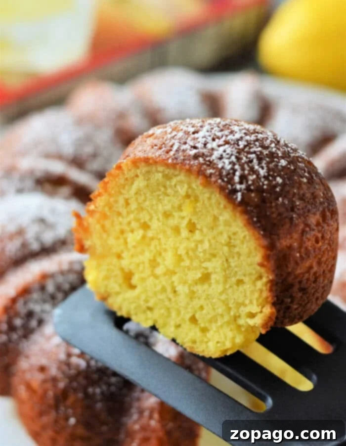 Easy Duncan Hines Lemon Bundt Cake Recipe 9 Betty Crocker Lemon Bundt Cake - Perfect for Any Occasion