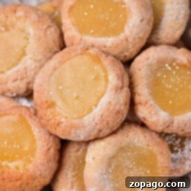 A plate of lemon curd cookies with a dollop of zesty curd in the center, dusted lightly with powdered sugar.