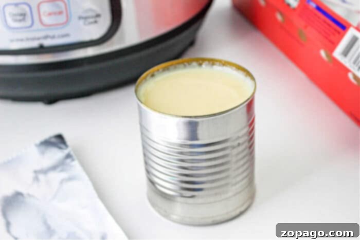 Easy Instant Pot Dulce de Leche 3 How to Make Dulce de Leche with Condensed Milk