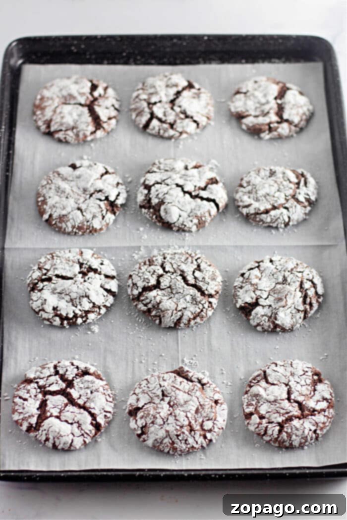 Dreamy Cool Whip Cake Cookies 2 Delicious Cool Whip cookies made from cake mix, dusted with powdered sugar, ready to be enjoyed.