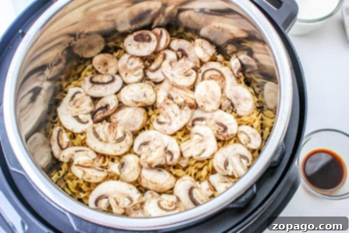 Creamy Instant Pot Meatball Stroganoff 5 A close-up of a bowl of creamy Meatball Stroganoff Recipe
