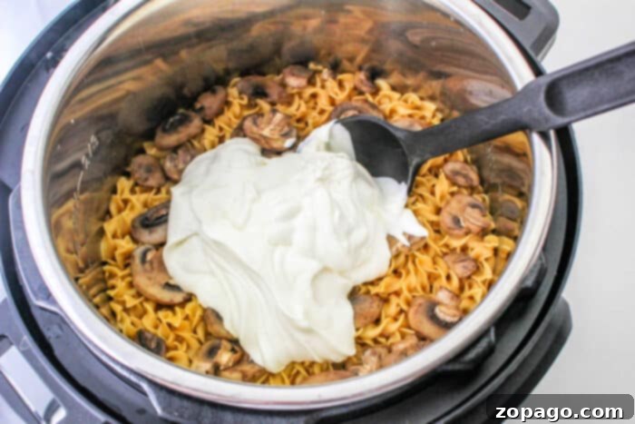 Creamy Instant Pot Meatball Stroganoff 6 Hearty Stroganoff with Meatballs and noodles