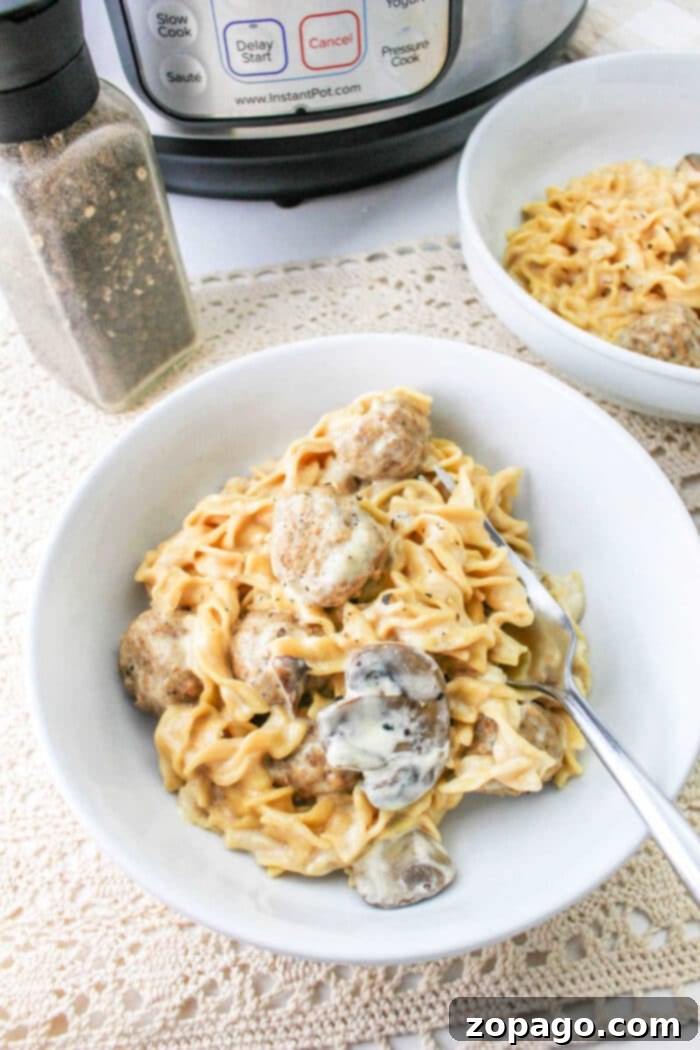 Creamy Instant Pot Meatball Stroganoff 8 Instant Pot Meatball Stroganoff served in a bowl