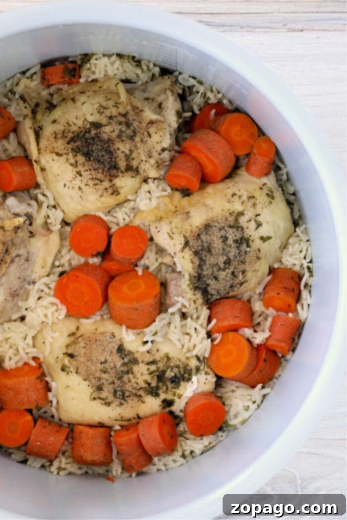 No-Thaw Instant Pot Chicken and Rice 6 Ninja Foodi Frozen Chicken and Rice