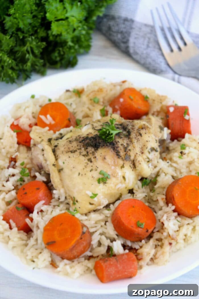 No-Thaw Instant Pot Chicken and Rice 7 Instant Pot Frozen Chicken and Rice