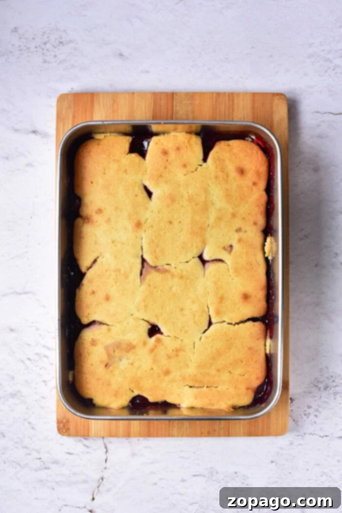 Effortless Cherry Cobbler 8 Easy Cherry Cobbler with Fresh Cherries