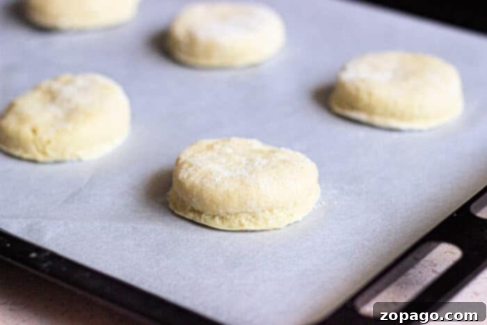 Sweet Honey Biscuits 5 Honey Butter Biscuits with Bisquick