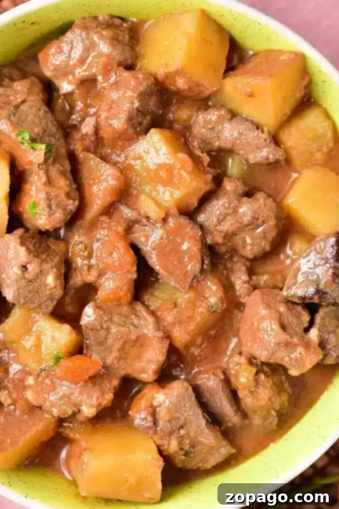 Rustic Venison Stew 2 A close-up view of a bowl filled with a hearty venison stew, featuring tender chunks of deer meat, potato pieces, and a rich brown sauce. The stew appears thick and savory, with visible herbs and vegetables mixed in—a classic Venison Stew Recipe.