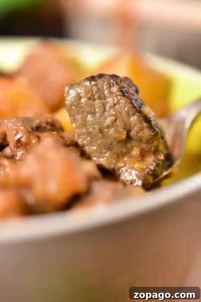 Rustic Venison Stew 6 A close-up image of a spoon lifting a piece of cooked venison from a dish. The meat is part of a hearty venison stew, with other pieces visible in the blurred background. The meat is brown and looks well-cooked, inviting you to try this delicious venison stew recipe.