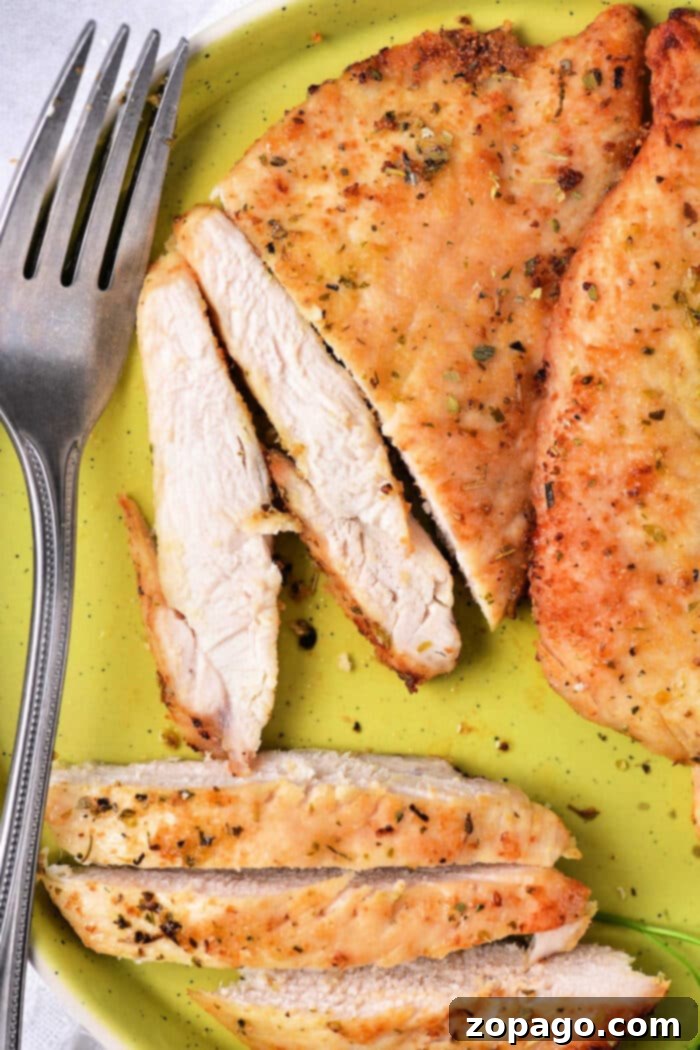 Toaster Oven Chicken Perfection 2 Chicken Breast in a Toaster Oven