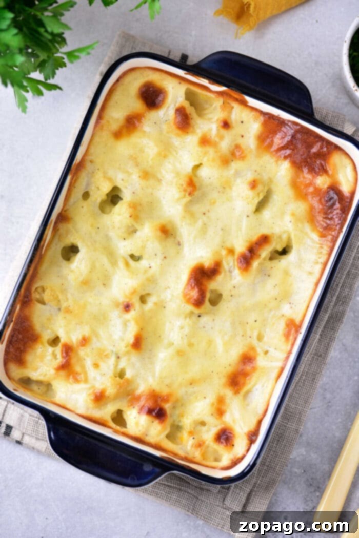 Ultimate Cheesy Cauliflower Gratin 5 Cauliflower Au Gratin Recipe