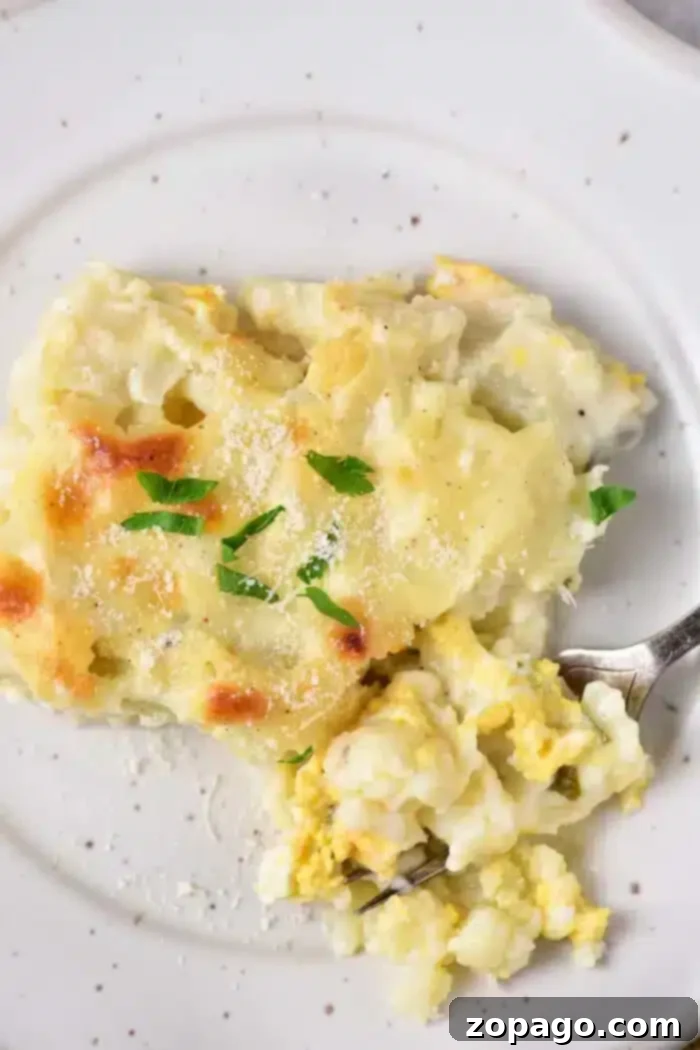 Ultimate Cheesy Cauliflower Gratin 7 A piece of Cheesy Cauliflower Casserole is served on a white plate. The casserole is topped with melted cheese and garnished with chopped parsley. A metal fork is placed next to the casserole, picking up a small portion of it.