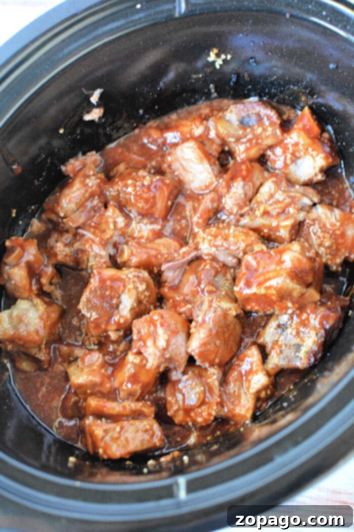 Melt-In-Your-Mouth Crockpot BBQ Riblets 5 Pork Riblets Recipe plated beautifully