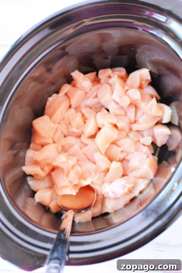 Set-and-Forget Chicken Stroganoff 3 Creamy Slow Cooker Chicken Stroganoff simmering in a crockpot, ready to serve.