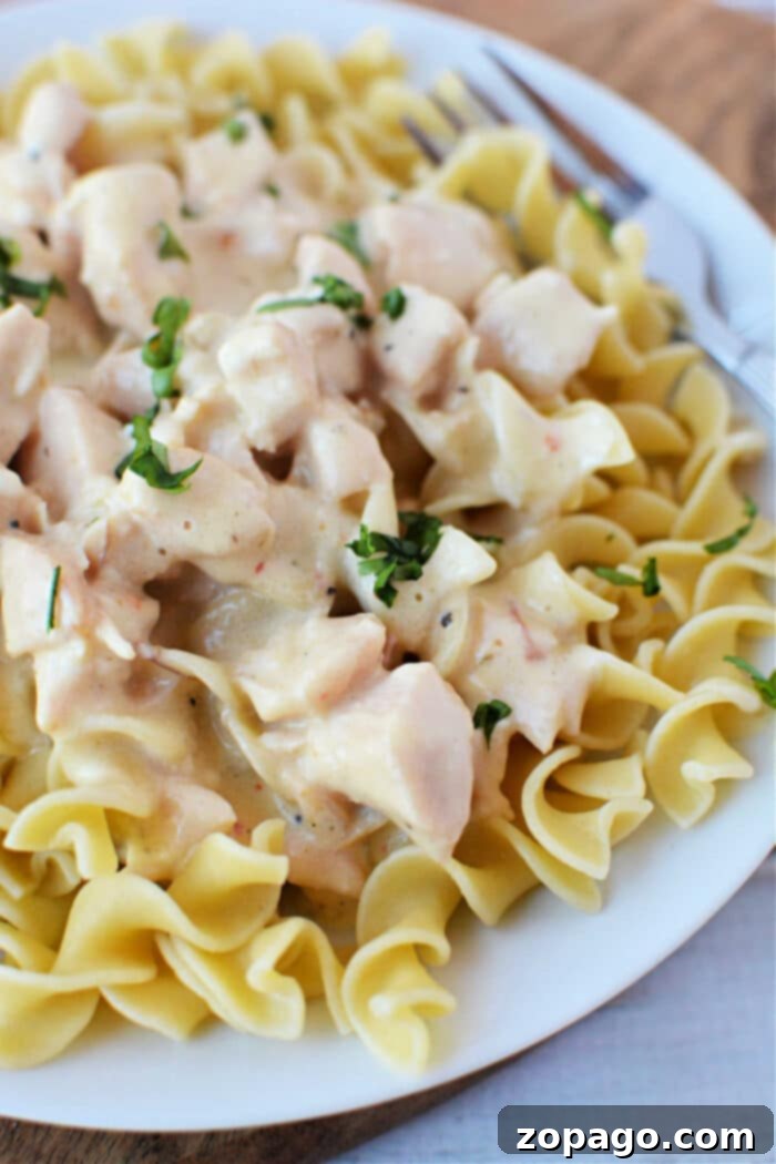 Set-and-Forget Chicken Stroganoff 6 A final, delicious plate of Slow Cooker Chicken Stroganoff served over egg noodles.