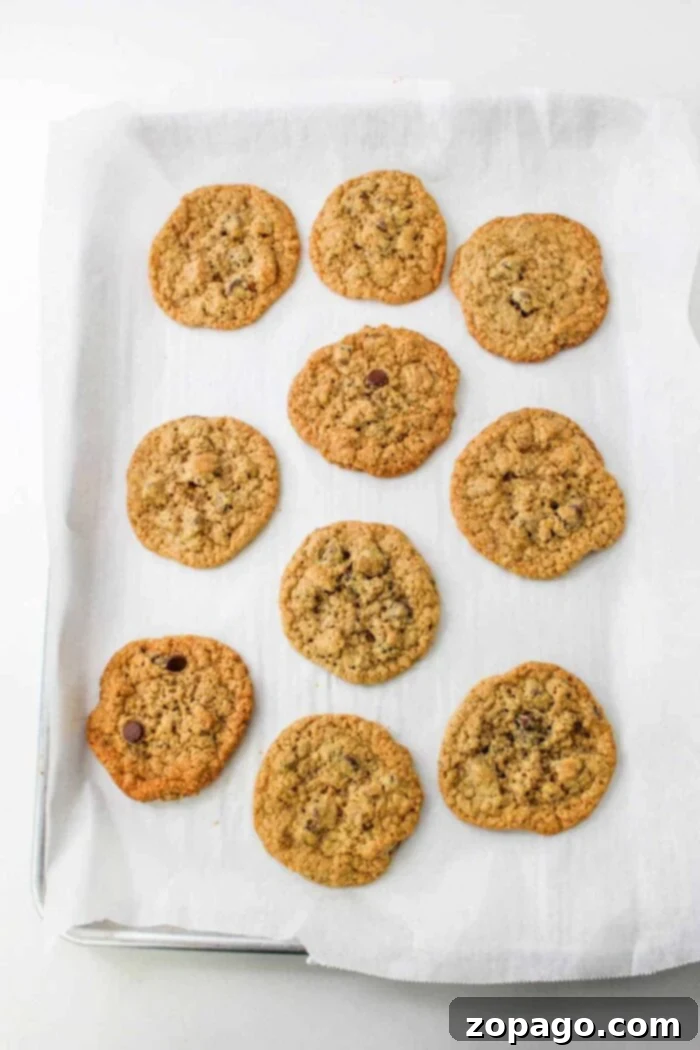 Fast Steel Cut Oat Delights 6 A plate of freshly baked steel cut oat cookies, golden brown and inviting.