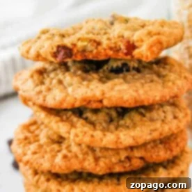 A stack of steel cut oatmeal raisin cookies proudly sits on a white surface, with a jar of steel cut oats in the background.