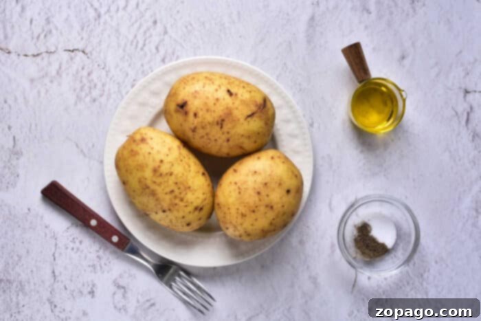 Crispy Skin, Fluffy Inside: Convection Baked Potatoes 3 potato in convection oven