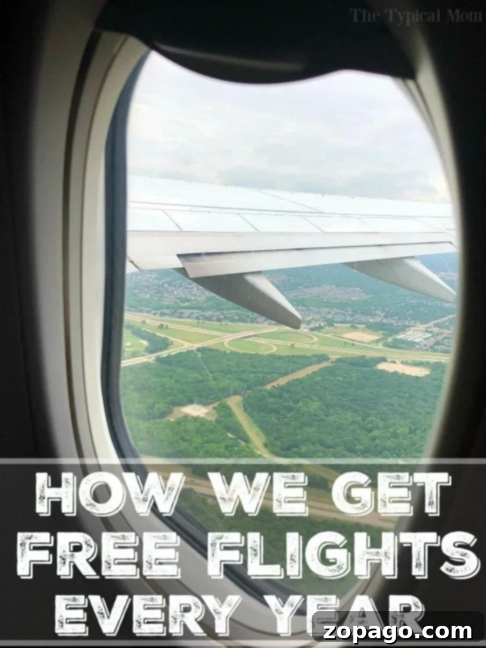 Frontier Airfare Steals 2 A person holding a plane ticket and passport, symbolizing the joy of free airline tickets and budget travel
