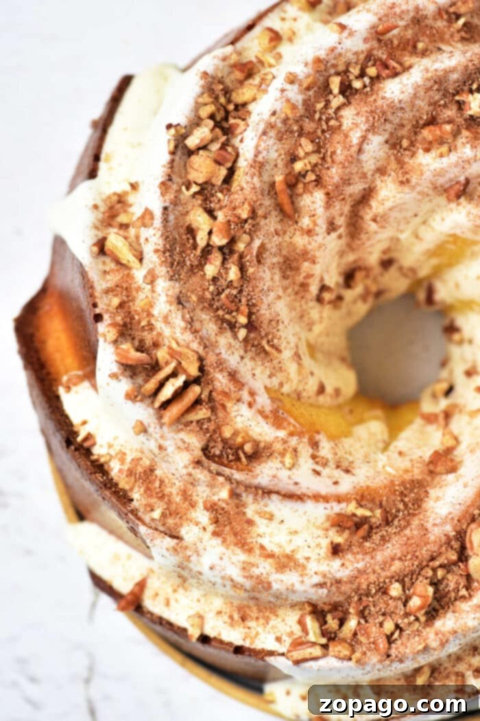 Ultimate Sock It To Me Cake with Cake Mix 6 A stunning, fully baked bundt cake topped with a generous white icing, artfully crushed nuts, and a dusting of cocoa powder, showcasing a delightful variation of the Sock It to Me cake. Photographed from above, this dessert is a true masterpiece for any sweet tooth.