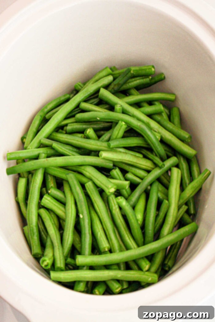 Effortless Crockpot Green Beans 5 A slow cooker is filled with a pile of raw green beans, freshly cut and vibrant in color, waiting to be prepared or added to your crockpot for a delicious meal.