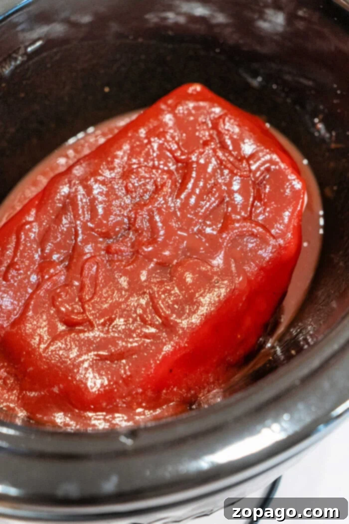 The Easiest 2-Ingredient Pulled Pork 7 Succulent pulled pork simmering in a rich red sauce, effortlessly crafted with just 2 ingredients in a slow cooker.