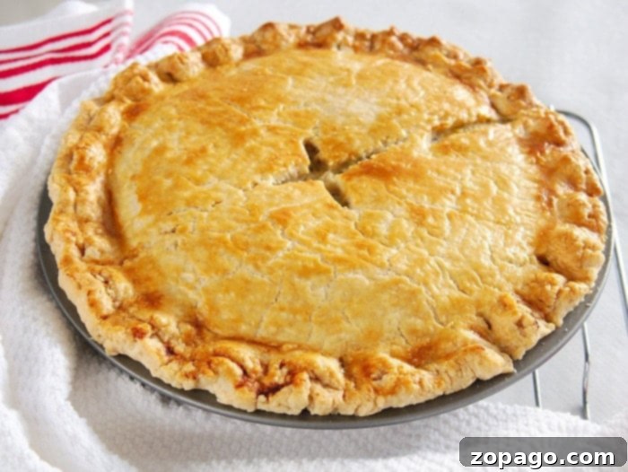 Quick & Cozy Chicken Pot Pie 10 Simple Chicken Pot Pie Recipe