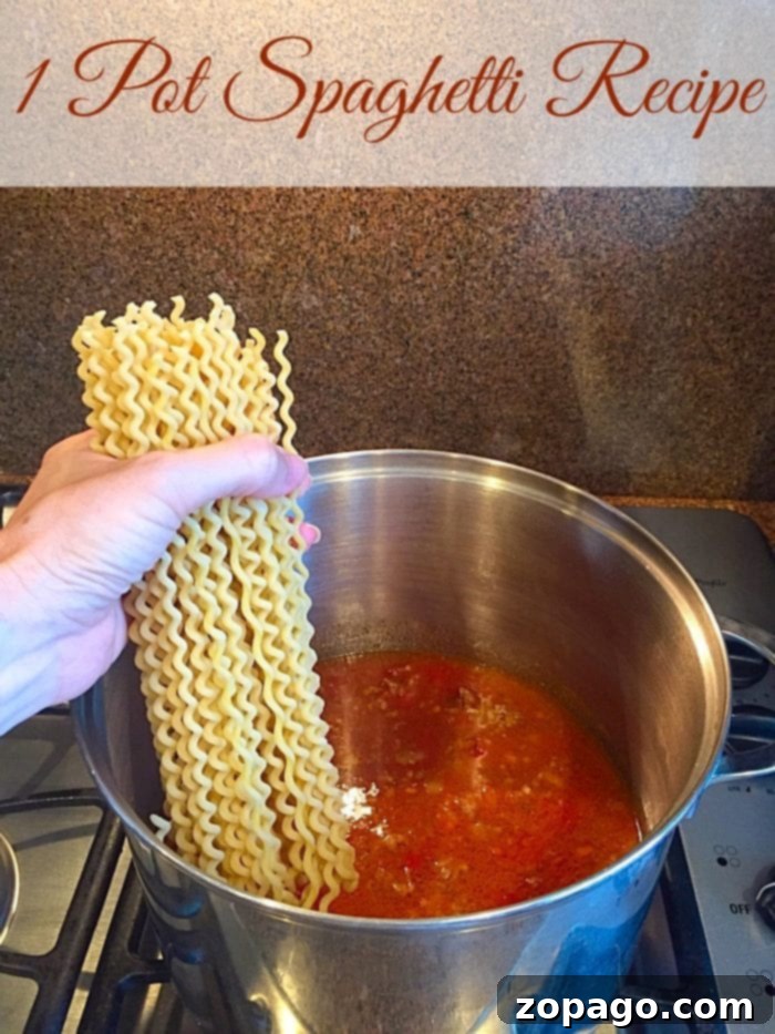 EASY one pot spaghetti recipe! Simple clean up and is done start to finish in 20 minutes...my kids love this one! Finished One-Pot Spaghetti ready to serve