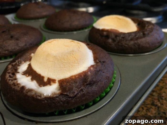 Little Chefs' Simple Sweet Treats 5 Kids decorating easy dessert recipes
