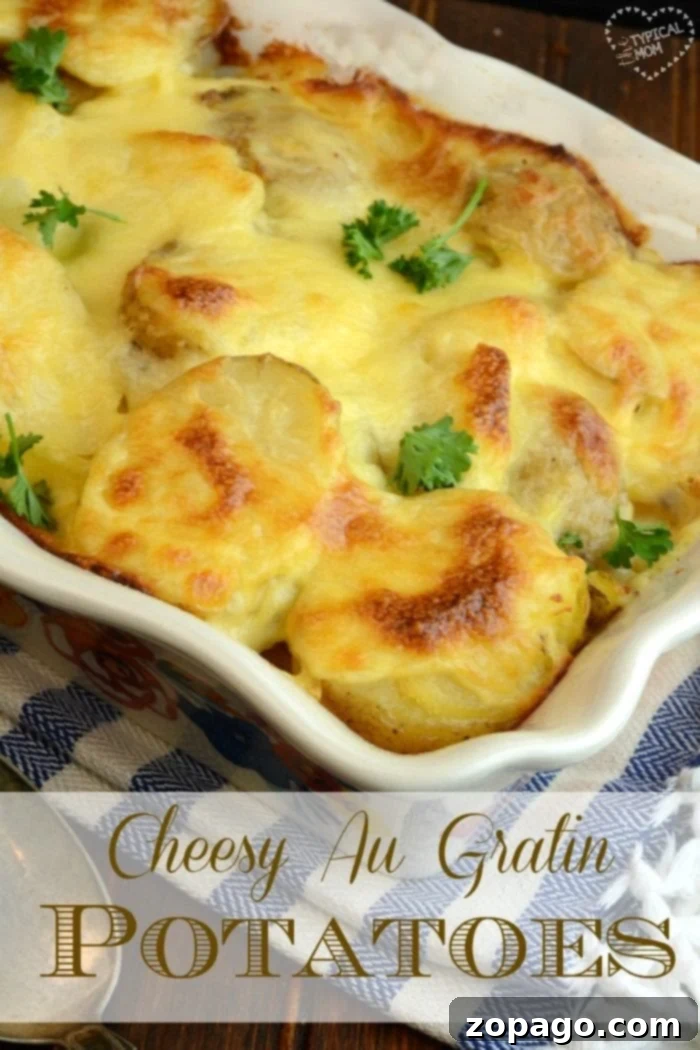 This is an easy potatoes au gratin recipe you can make as a side dish for the holidays!! Serve for Easter or Thanksgiving and it's also perfect to put your leftover ham inside and make as a meal. If you've never made homemade au gratin potatoes this is a simple way to do it with just a few ingredients. #potatoes #potato #augratin #homemade #easy #recipe A golden-brown easy au gratin potatoes recipe in a baking dish, ready to be served as a delicious side dish.