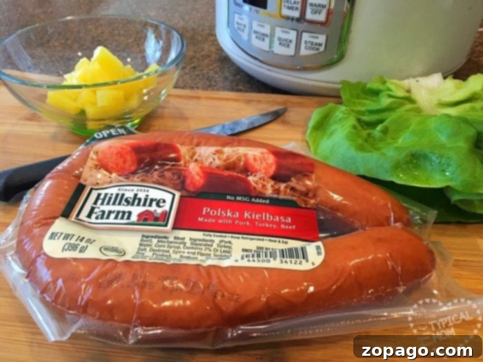 A simple and delicious filling for quick lettuce wraps. Close-up of easy lettuce wrap filling with sausage, pineapple, and rice.