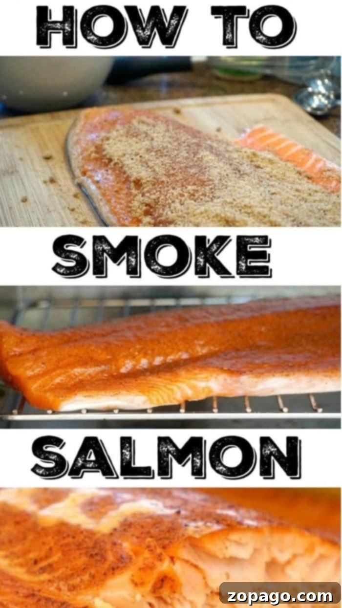 How to smoke salmon in your smoker right at home! The best rub for fish you will ever make that brings out the flavor and makes it melt in your mouth good. Easy recipe for those who have never smoked fish or looking for something new. Healthy and delicious dinner idea. #salmon #fish #smoke #smoker #smokedsalmon #thetypicalmom #smokedfish traeger salmon