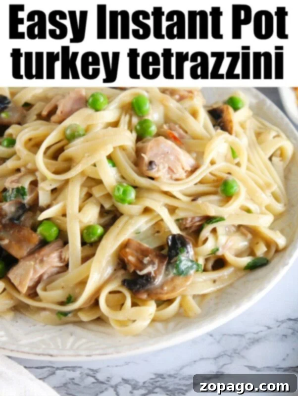 From Roaster to Reinvention Delightful Turkey Leftovers 4 instant pot turkey tetrazzini