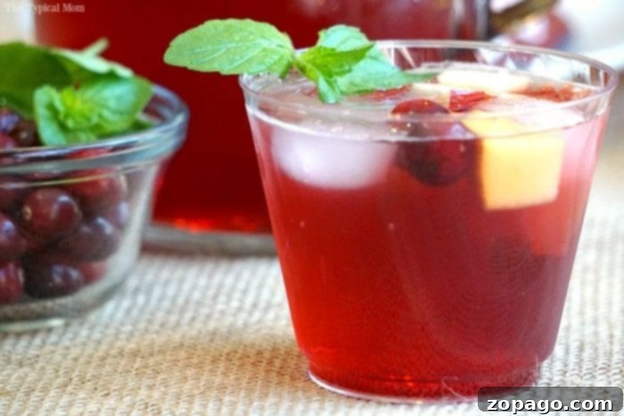 Refreshing Cranberry Sangria 4 Individual glass of sparkling cranberry mocktail, beautifully layered with fruit and a fresh mint sprig, showing its vibrant red color.