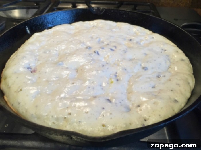 Mastering Cast Iron Skillet Care 5 berry coffee cake