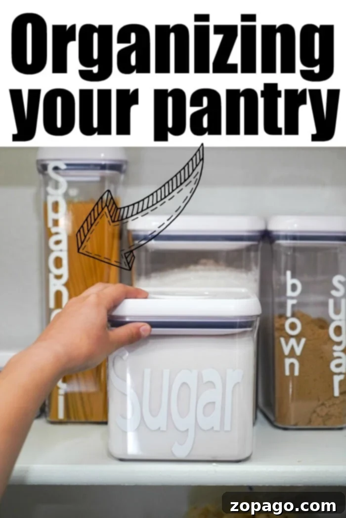 Free Printable Home Organization Planner Kit 3 pantry containers