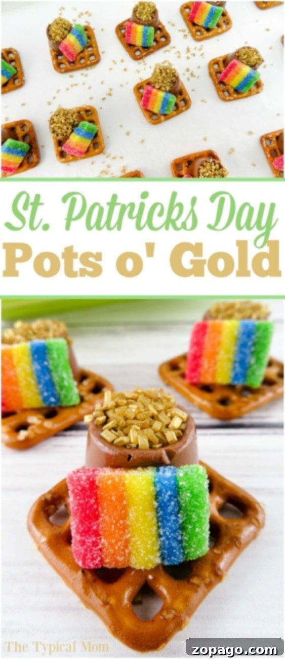 Leprechaun's Delights 4 Completed St. Patrick's Day Pot of Gold Treats