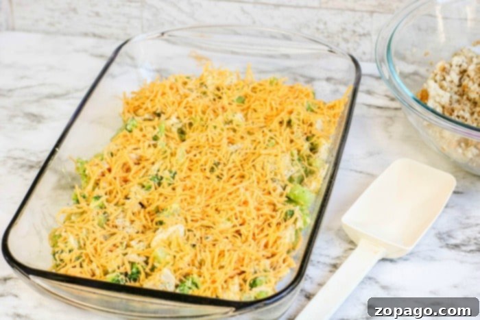 Cheesy Chicken Stuffing Bake 4 A close-up shot of a creamy chicken broccoli casserole recipe, still hot and bubbly from the oven.