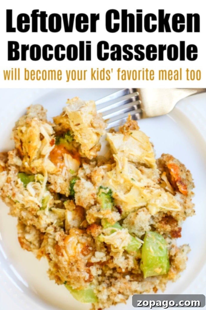 Cheesy chicken broccoli stuffing casserole recipe that is easy to throw together! This is my kids' all time favorite casseroles that's quick to make and inexpensive. A plate of cheesy chicken stuffing casserole with a fork, beautifully garnished on a pristine white dish.