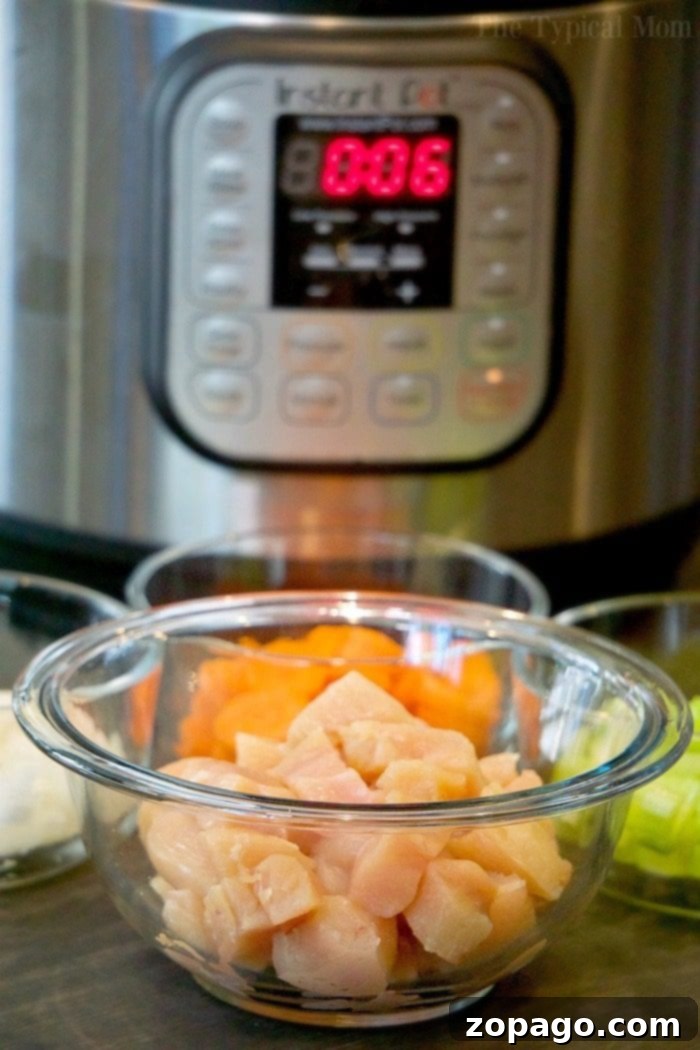 Instant Pot chicken noodle soup recipe that takes just 5 minutes to cook and it's done! Super healthy pressure cooker soup that only needs a few fresh ingredients and great when it is cold outside or you're not feeling well. Load it up with vegetables and enjoy this for dinner tonight. #instantpot #pressurecooker #chickennoodlesoup #chicken #soup #noodle #healthy #instantpotrecipes #thetypicalmom A hearty bowl of Instant Pot Chicken Noodle Soup, featuring tender chicken thighs, golden egg noodles, and vibrant vegetables, ready to be enjoyed.