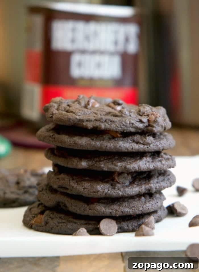 Chewy double chocolate chip cookies that are the softest you'll ever try. Dark chocolate with chocolate chips and as soft as a brownie, delicious! Irresistibly soft and chewy double chocolate chip cookies, fresh from the oven, showcasing their rich dark chocolate color and melty chocolate chips.