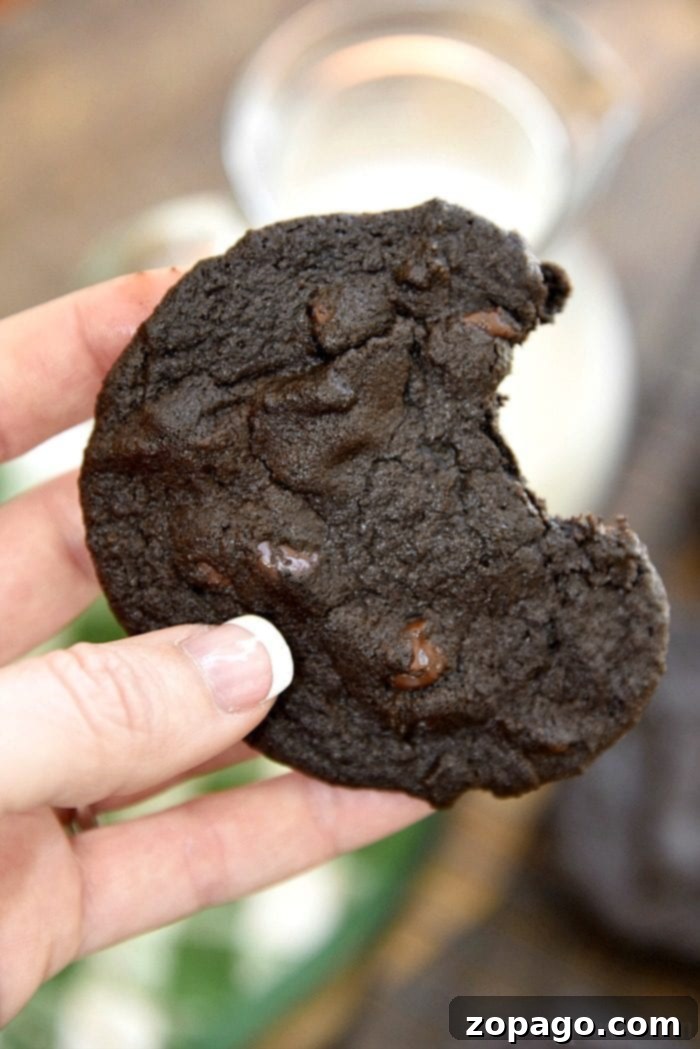 Chewy double chocolate chip cookies that are the softest you'll ever try. Dark chocolate with chocolate chips and as soft as a brownie, delicious! A close-up of a stack of chewy double chocolate chip cookies, showcasing their soft interior and abundance of chocolate chips.