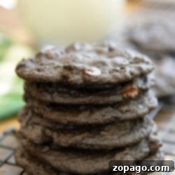 cocoa powder cookies