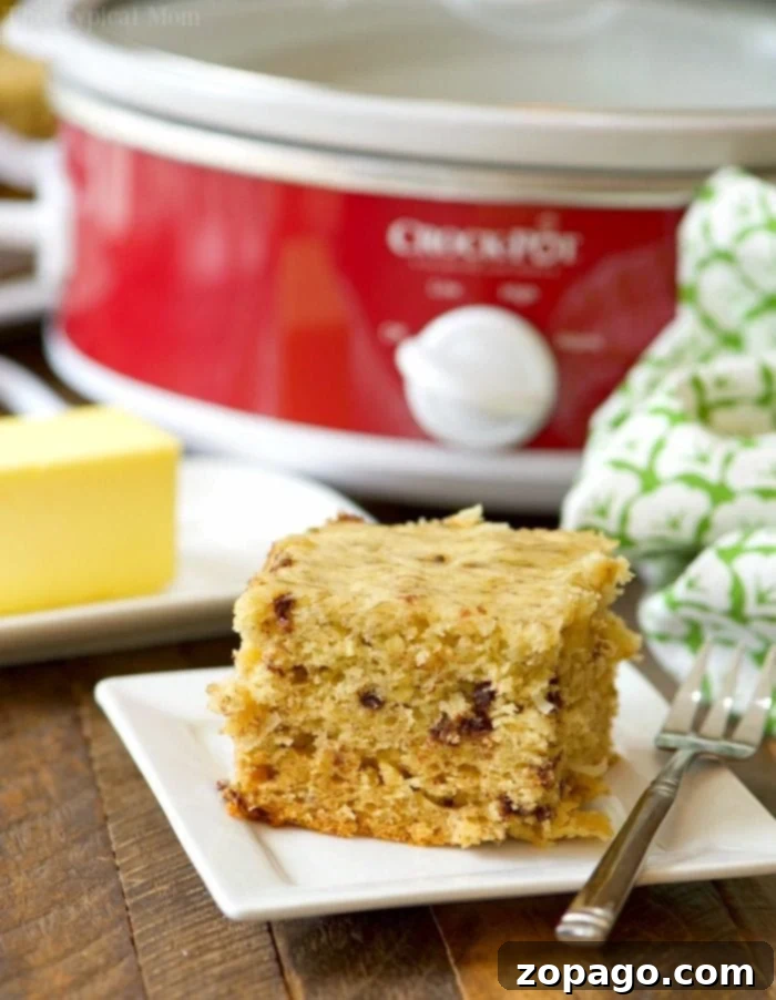 This easy slow cooker chocolate chip banana bread is perfect for breakfast or brunch! Moist banana bread with added coconut that cooks in your crockpot. Slow cooker chocolate chip banana bread